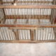 Birdcage, 1940
