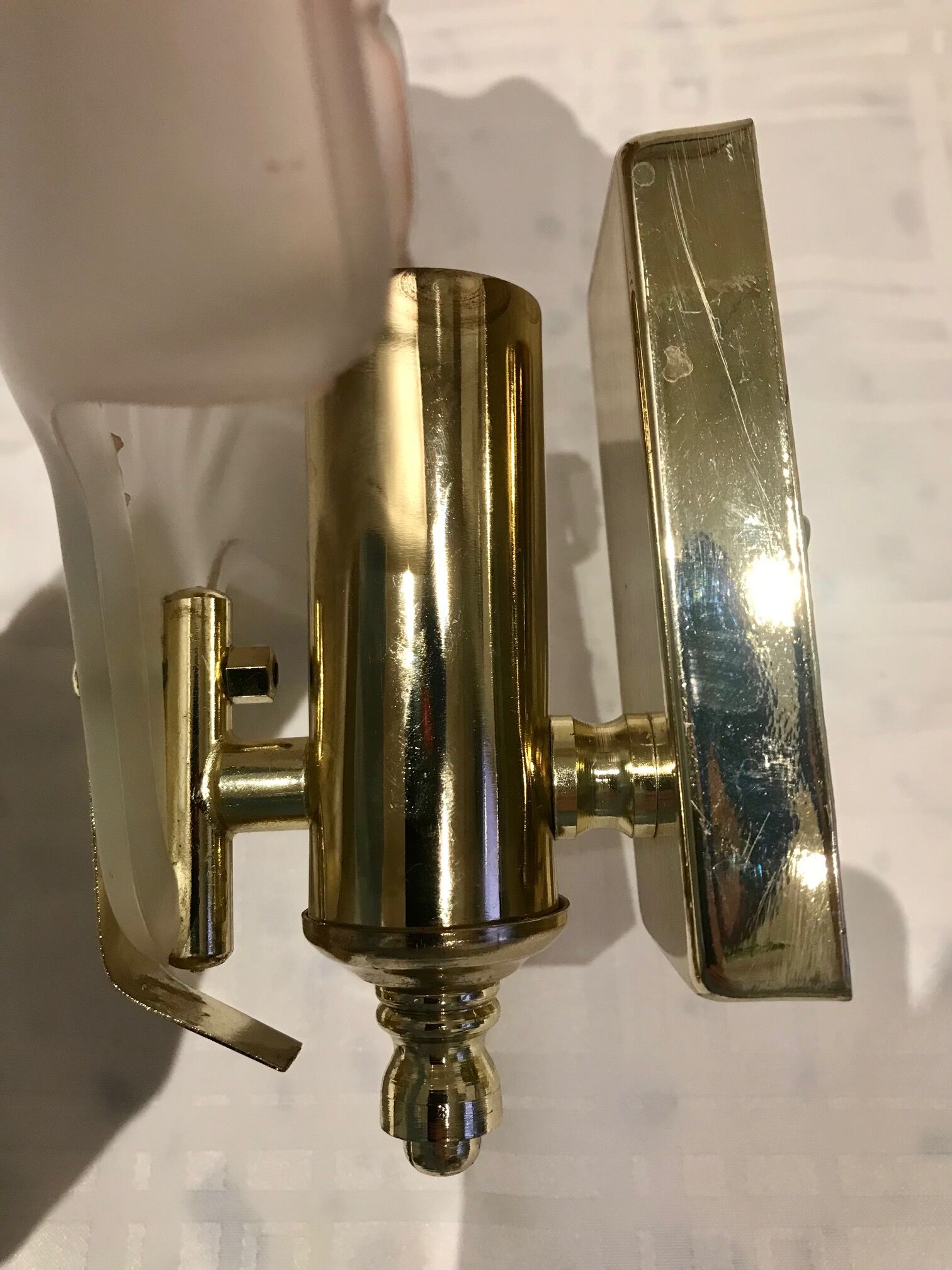Pair of shell sconces