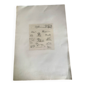 Lithographie ancienne orientale - Ornements de la Perse