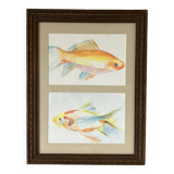 Peinture à l’aquarelle représentant des poissons rouges dans un cadre en bois de style Louis XVI
