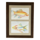 Watercolor painting of goldfish in a Louis XVI style wooden frame