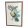Gravure, Toucan Ariel, Descourtilz