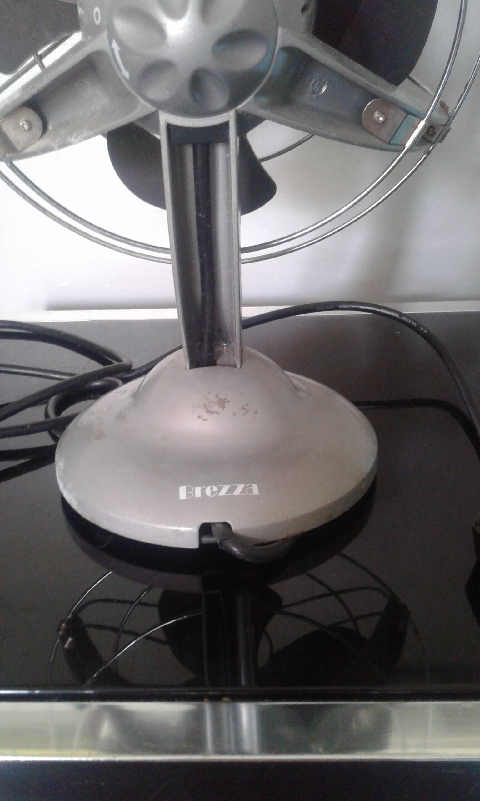 Functional Bionaire fan