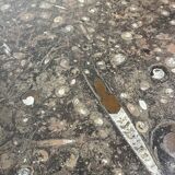 Fossil Stone Coffee Table by Heinz Lilienthal, 1980s