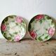 2 OLD SLASH PLATES WITH ROSES DECORATION