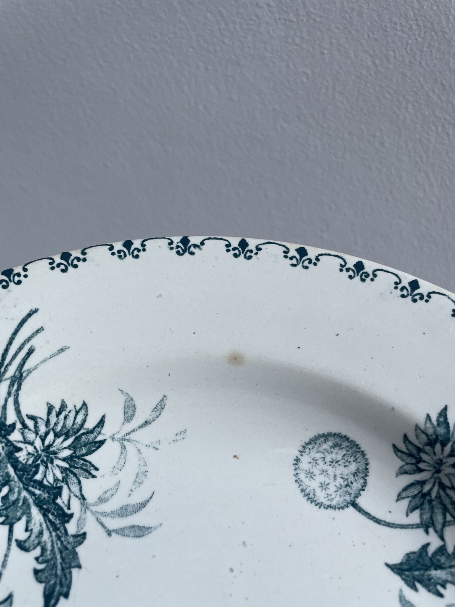 Set of 10 hollow plates Terre de Fer XIXth, model Madrid
