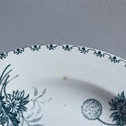 Set of 10 hollow plates Terre de Fer XIXth, model Madrid