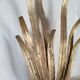 Pair of vintage wall lights, two golden arms, foliage