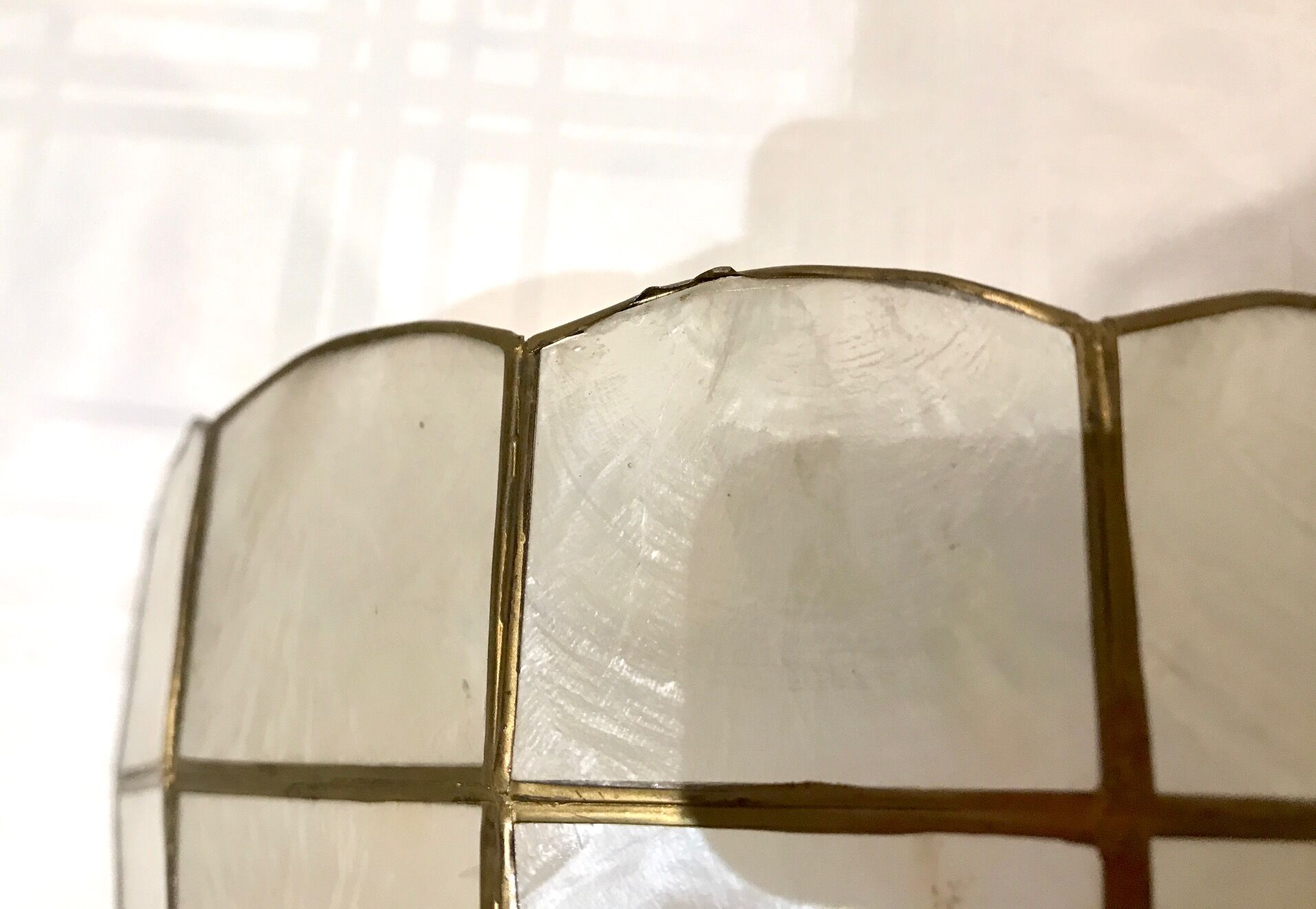 Pair of mother-of-pearl shell sconces