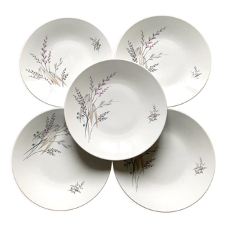 5 assiettes plates en porcelaine