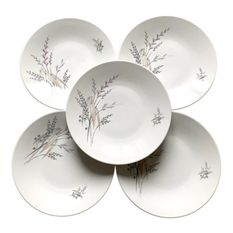 5 flat porcelain plates