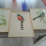 Paintings