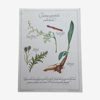 Botanical board "Tisane aperitif (alcohol-free)"