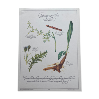 Botanical board "Tisane aperitif (alcohol-free)"