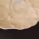 Set of 10 vintage Hutschenreuther oyster plates