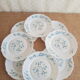 Set of 8 dessert plates Arcopal model Véronica vintage