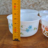 Series of 4 Scania and Veronica ramekins from Arcopal 70s/80s