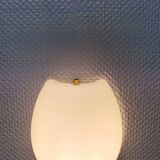 Rare wall lamps, model Vasa, designed by Jo Hammerborg in 1966 for Fog & Mørup Denmark.