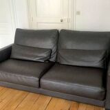 Roche Bobois sofa