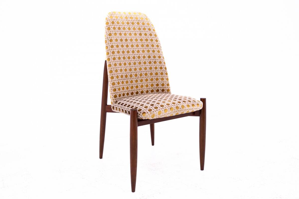 Set of 4 chairs, Czechoslovakia, 1950s. After renovation