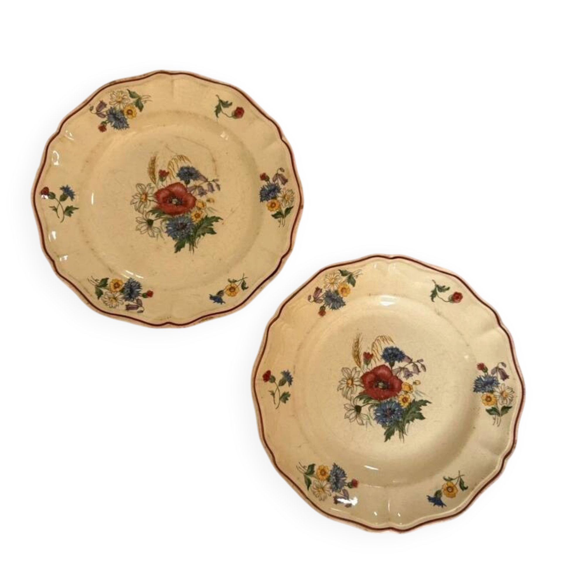 Set of 2 Sarreguemines plates