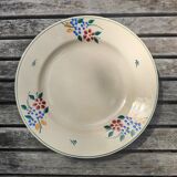 Plates Saint Amandinoise Saint Amand