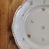 Old SFP porcelain dinner plates