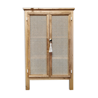 Wooden cabinet and cactus green canning