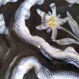 shell dish signed Gabriel Fourmaintraux
