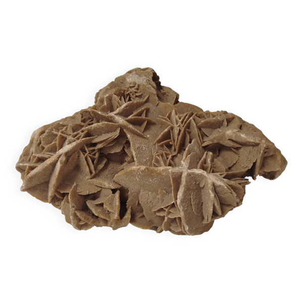 Rose des sables naturelle sculptée par le vent – +7 kg minérale décorative