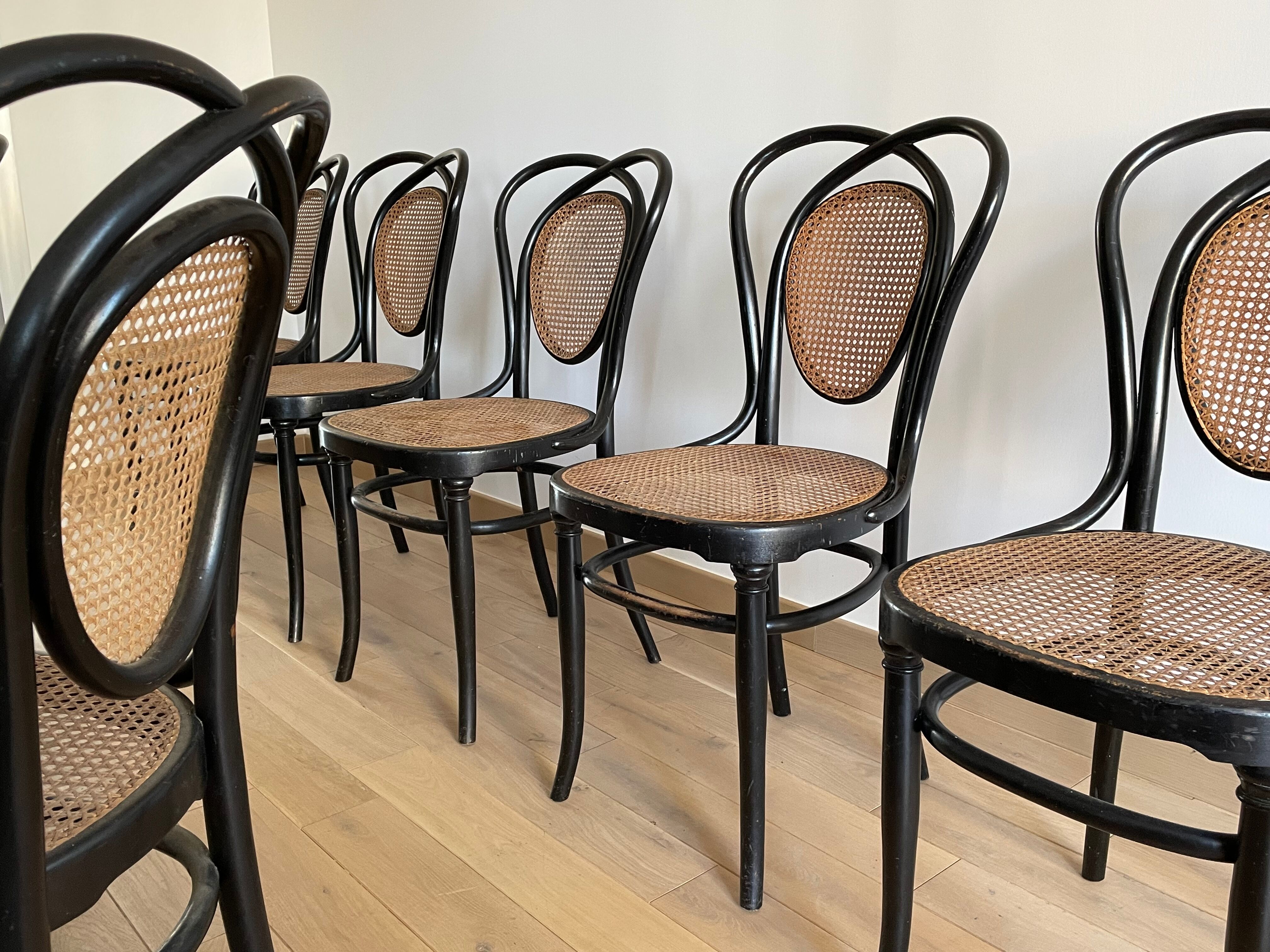 Series of 8 Viennese chairs N.33 by J&J Kohn, 1900