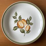 5 assiettes plates anciennes en faïence de Gien