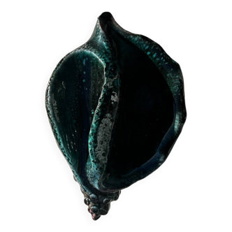 Shell barbotine