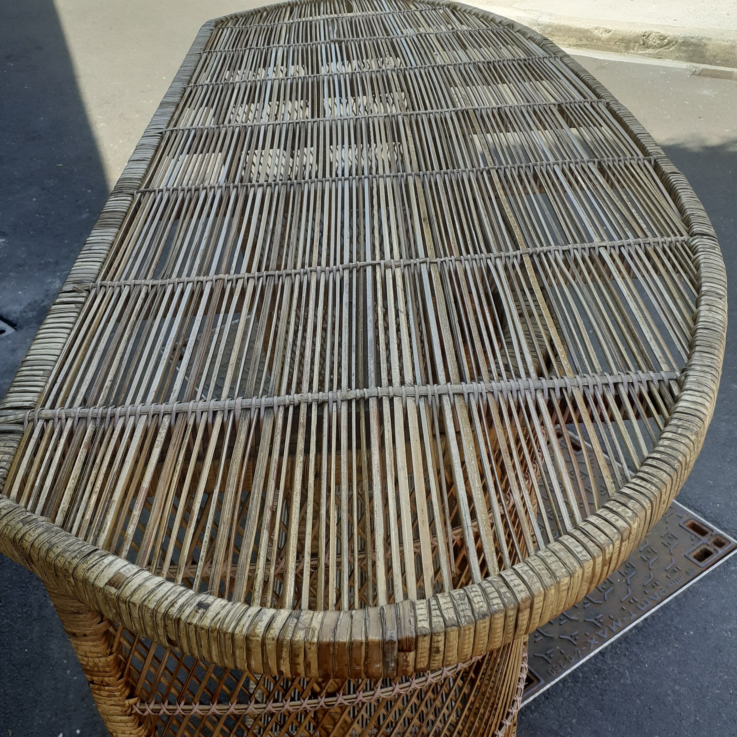 Peacock rattan bar