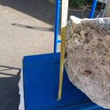 Tridacna shell (86 cm) – on base – rare and decorative