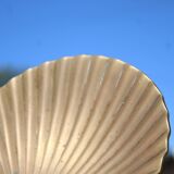 Vintage brass shell tray