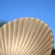 Vintage brass shell tray