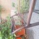 Wooden Trolley with Glass Shelves and Wheels from de Baggis, 1950s