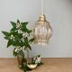 Vintage globe pendant light in bubbled amber glass