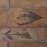 Table basse Herbier par Roger Capron