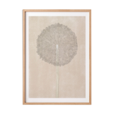 Dandelion - art print