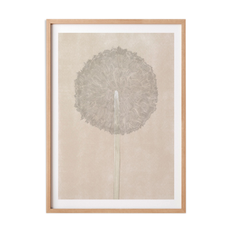 Dandelion - art print