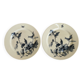 Pair of poppy dishes, Summer decoration, Gien earthenware from the 19th century.