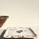 Empty pocket dish in Japanese stoneware,