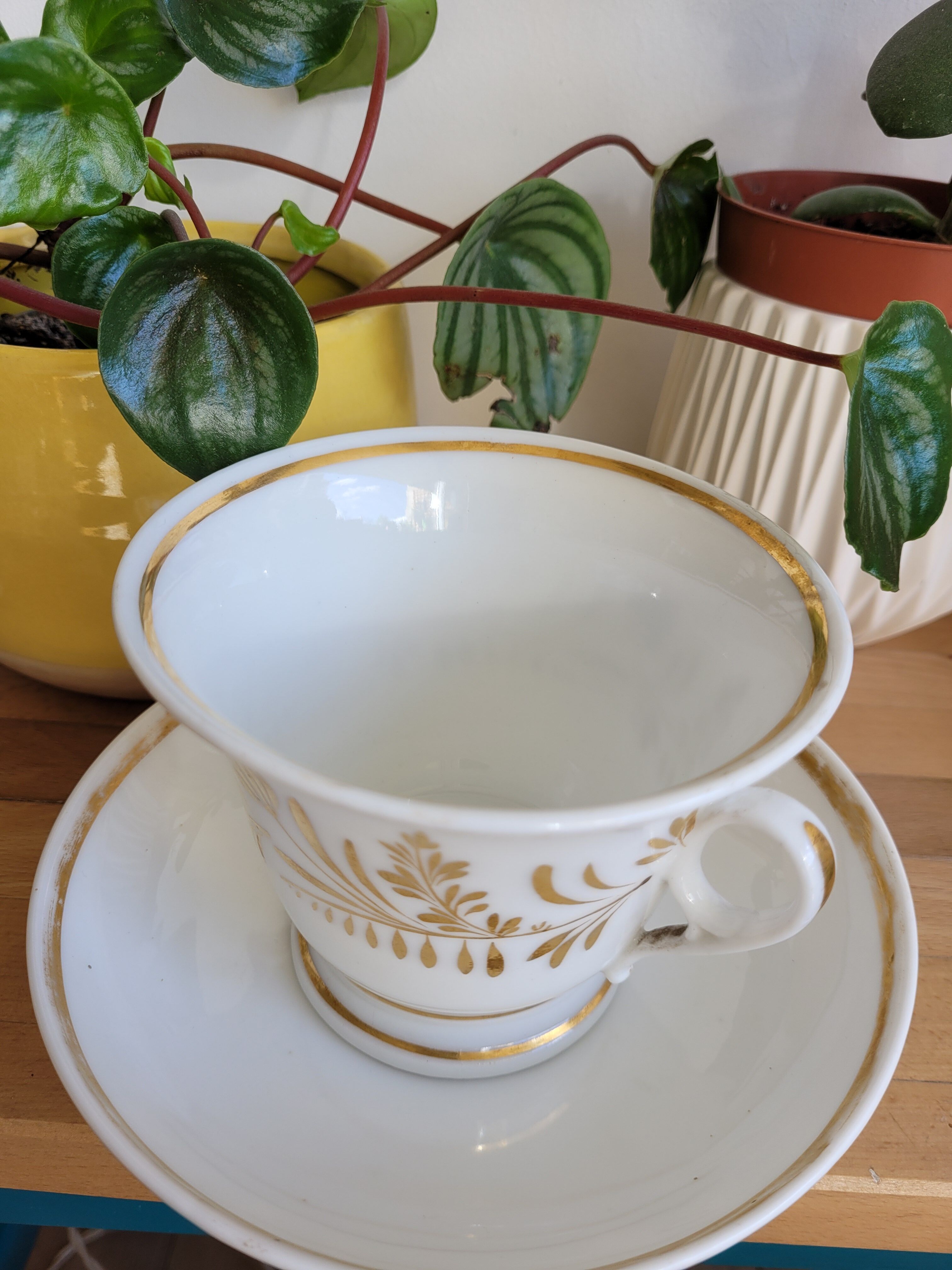 Chocolate Cup Branching