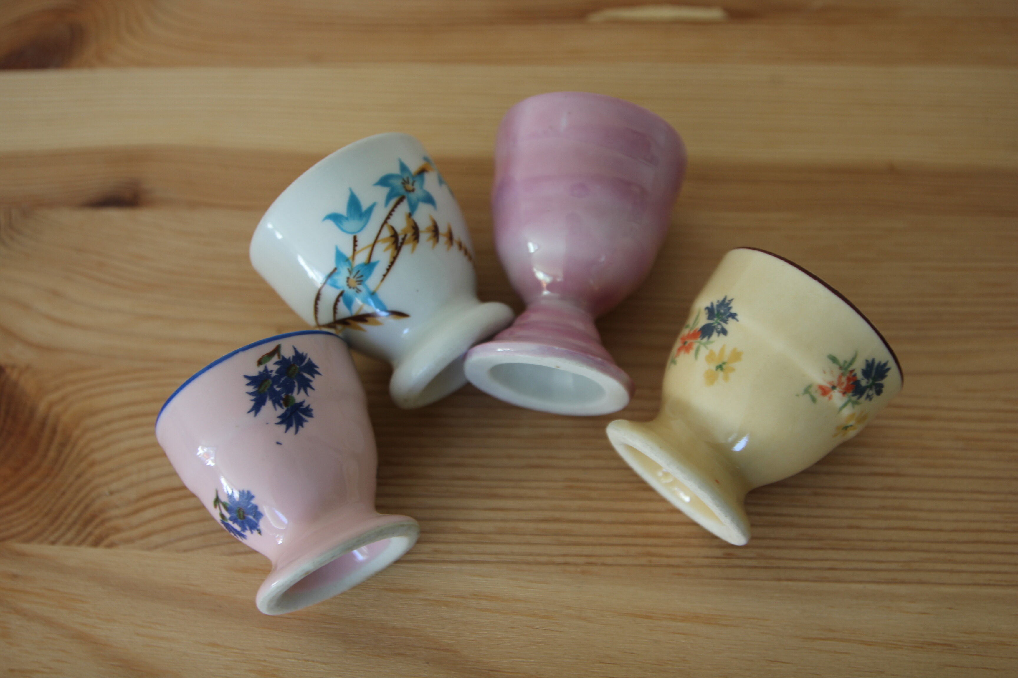 Set of 4 old cockroaches