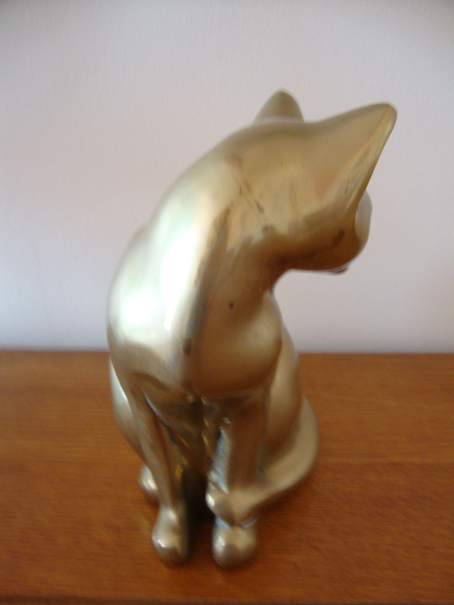 Cat sitting in brass