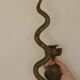 Pair of Egyptian Revival Style Engraved Brass Cobra Sconces