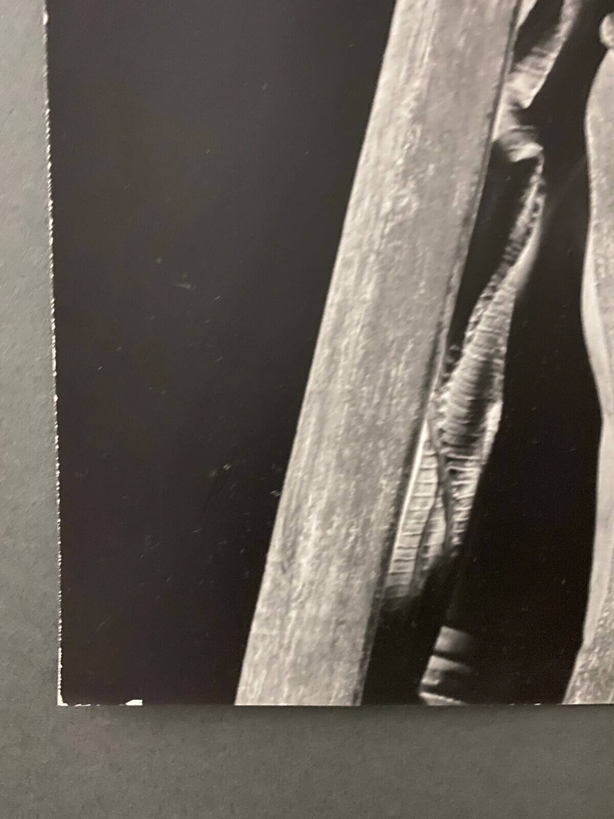 Silver photograph Bernard Darot Marguerite de Foix 20th century