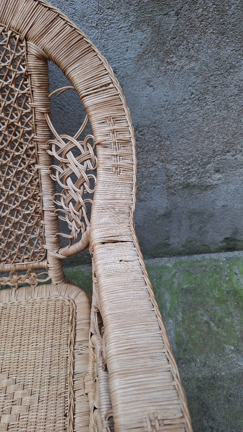 Peacock rattan garden set with bench and armchair